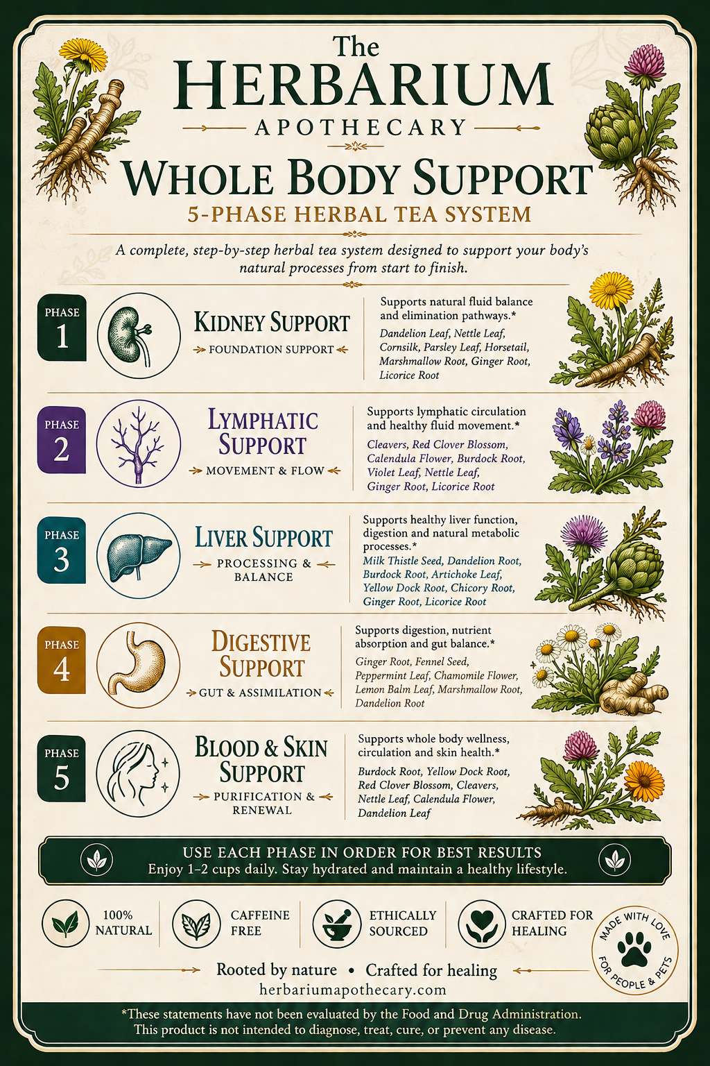 Whole Body Support System Tea Blends