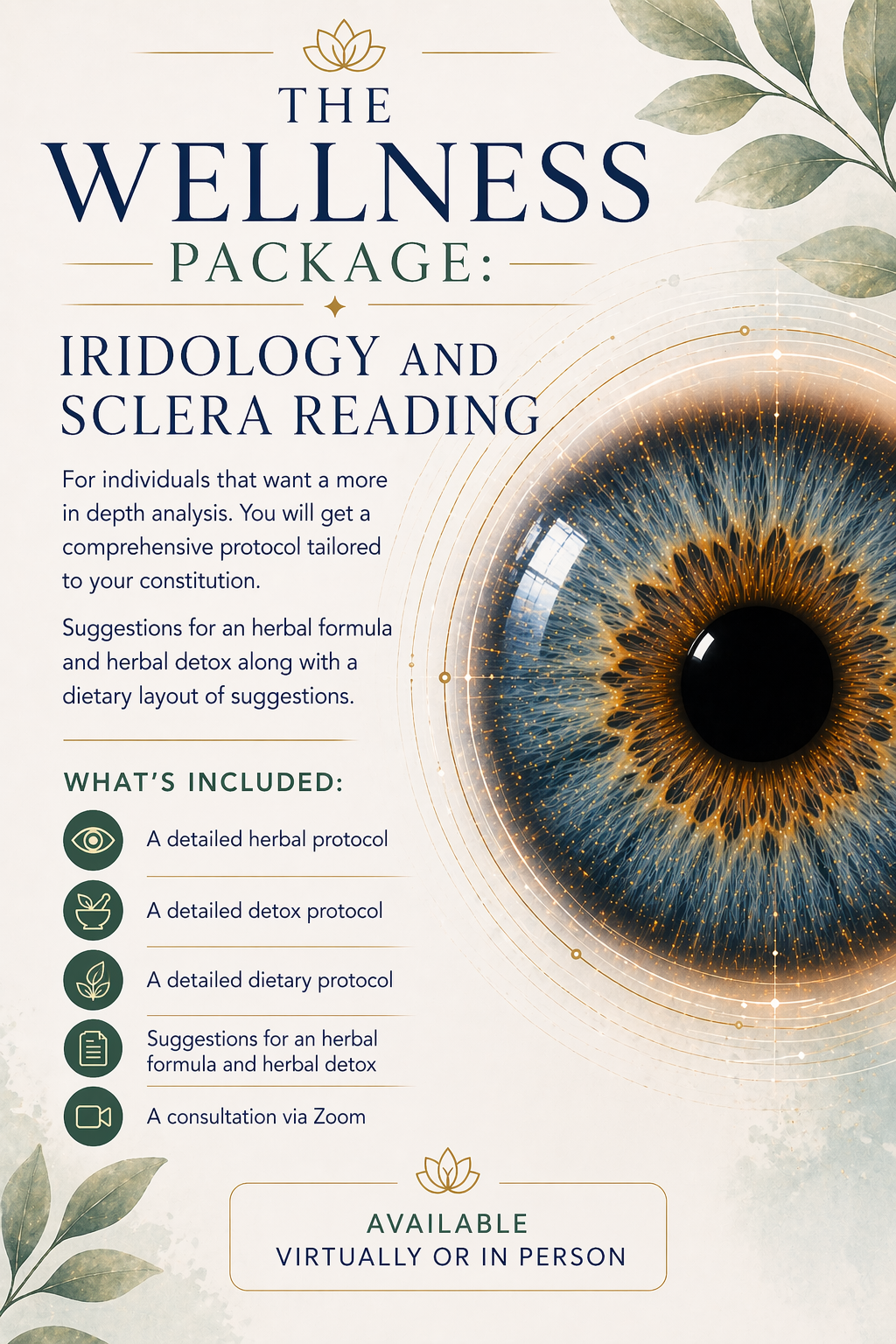 The Wellness Package: Iridology and Sclera Reading