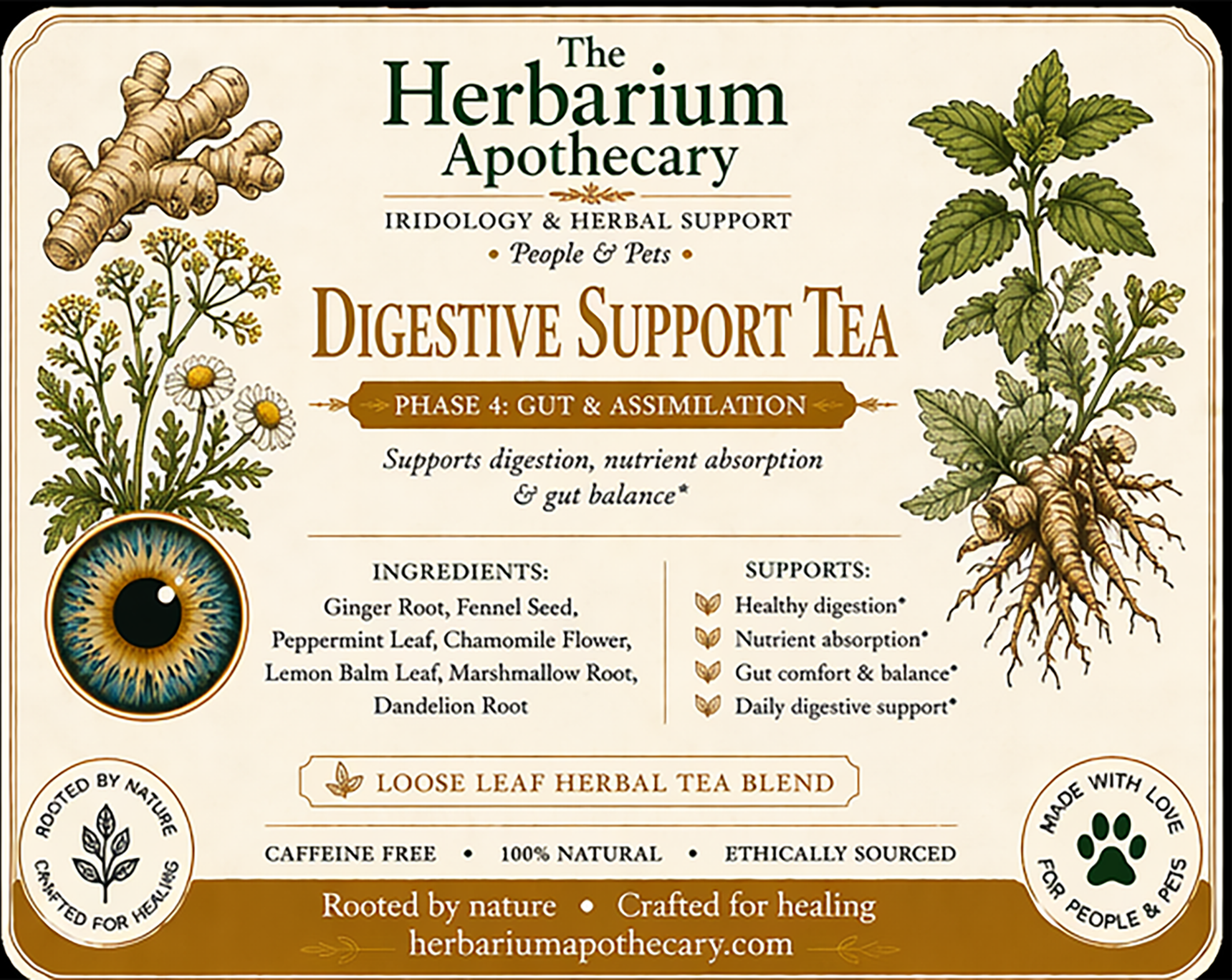 Whole Body Support - Digestive Support